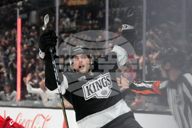 Red Wings Kings Hockey