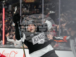 Red Wings Kings Hockey