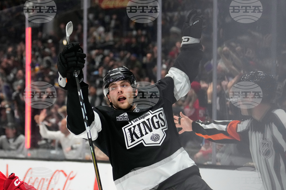 Red Wings Kings Hockey