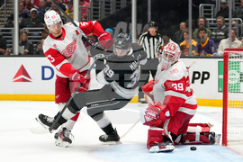 Red Wings Kings Hockey