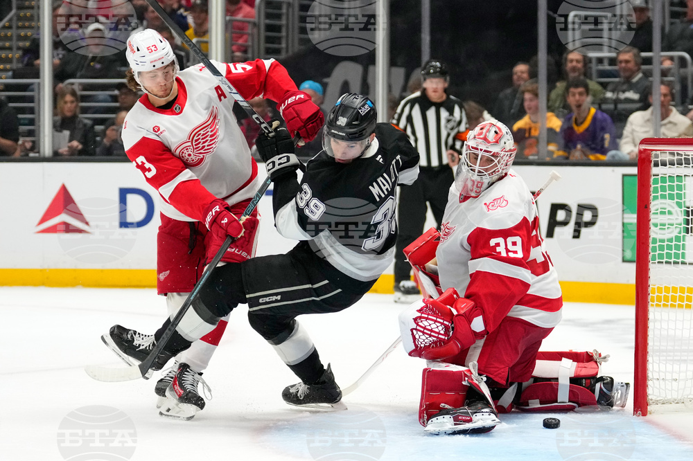Red Wings Kings Hockey