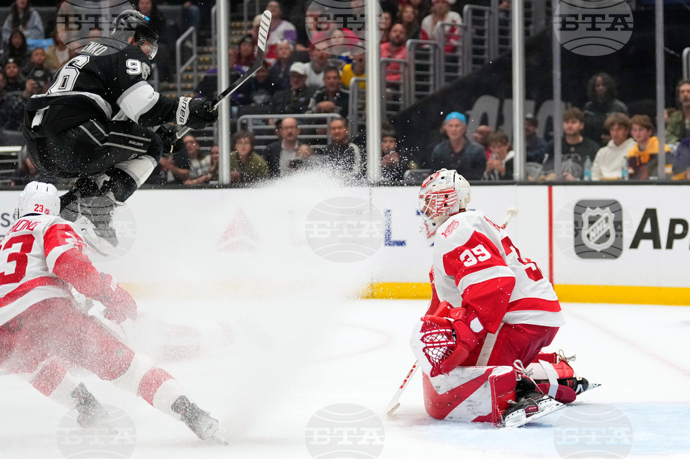 Red Wings Kings Hockey