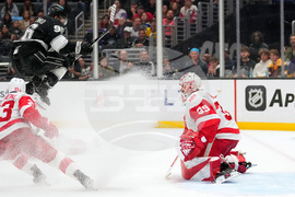 Red Wings Kings Hockey