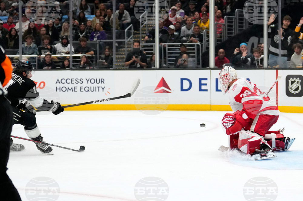 Red Wings Kings Hockey