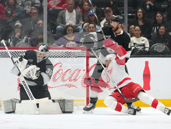 Red Wings Kings Hockey