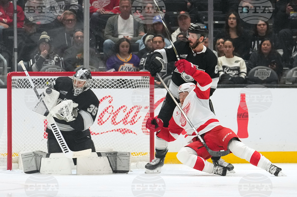 Red Wings Kings Hockey