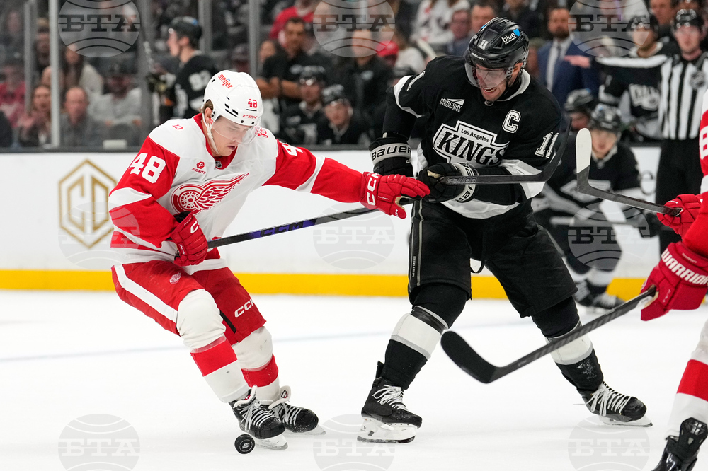 Red Wings Kings Hockey