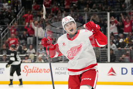 Red Wings Kings Hockey