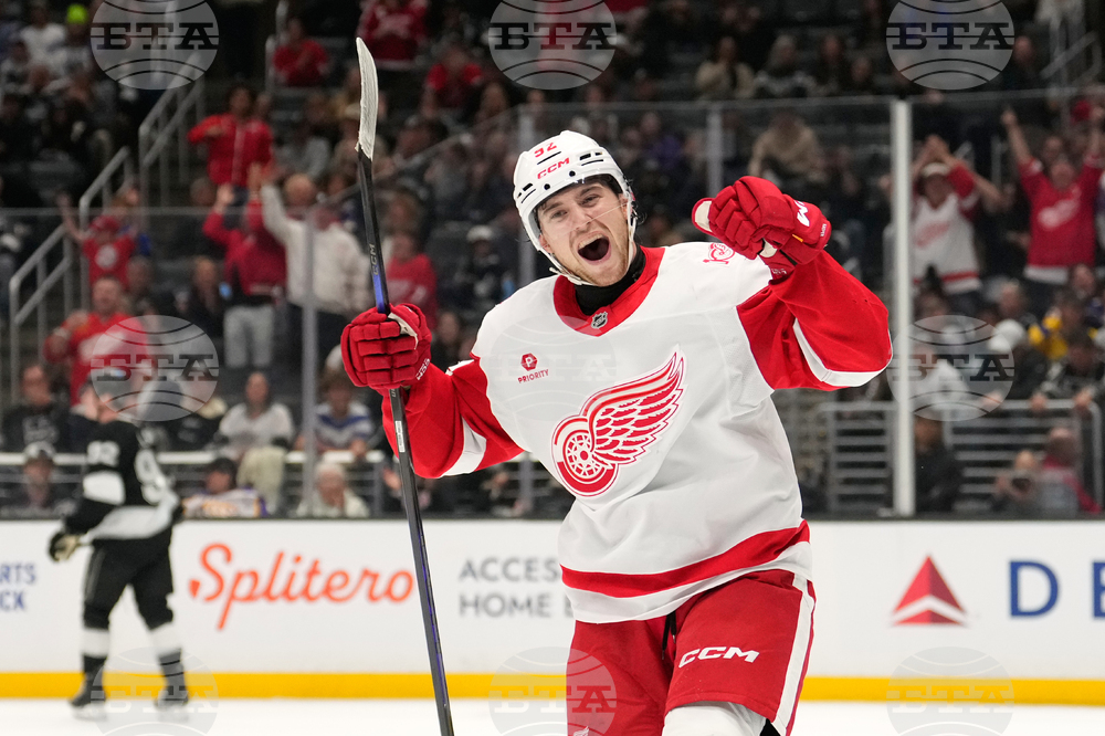 Red Wings Kings Hockey