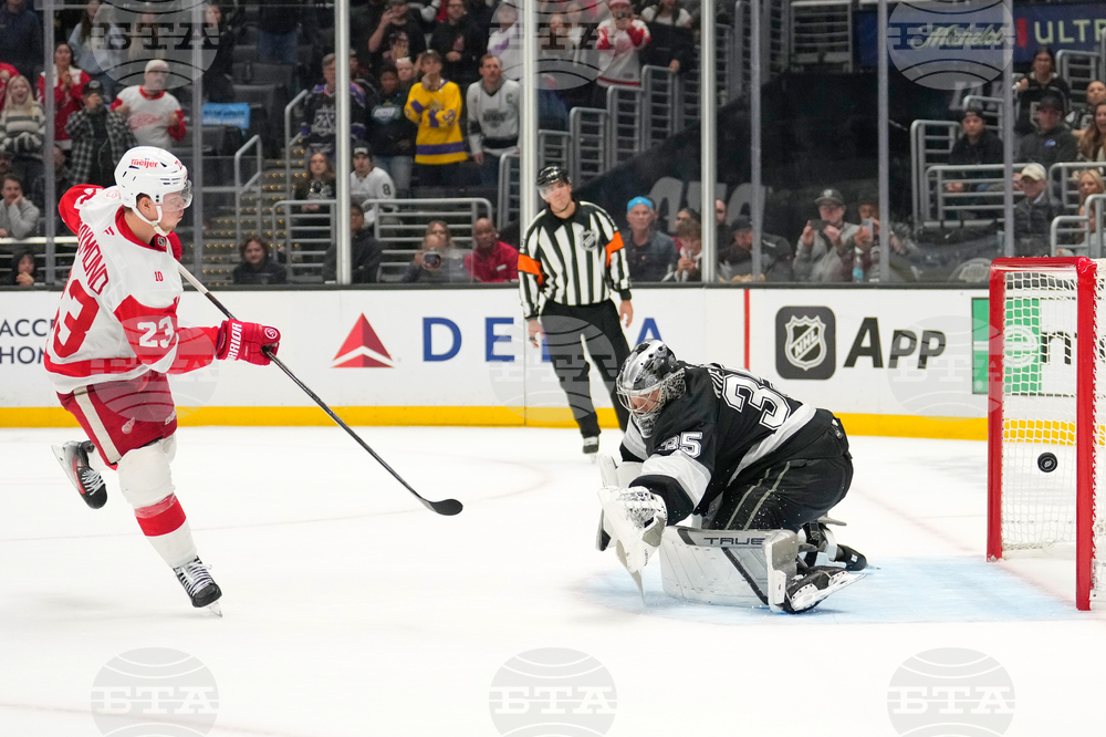 Red Wings Kings Hockey