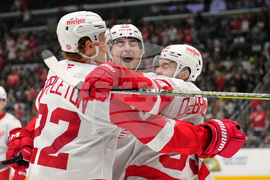 Red Wings Kings Hockey