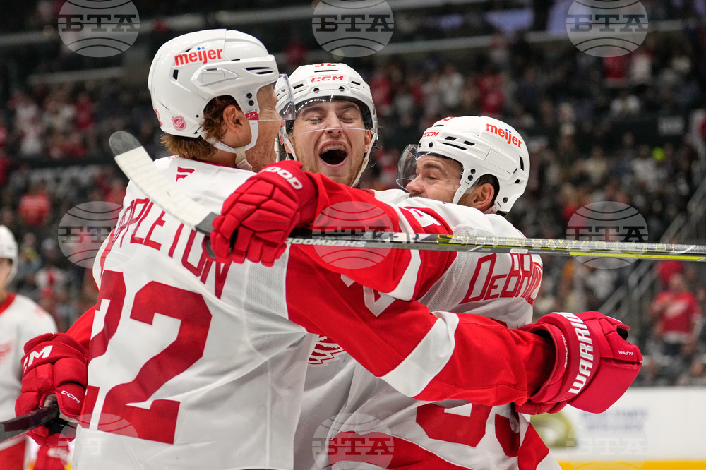 Red Wings Kings Hockey