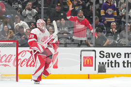 Red Wings Kings Hockey