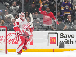 Red Wings Kings Hockey
