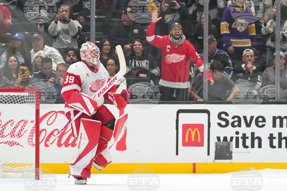 Red Wings Kings Hockey