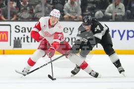 Red Wings Kings Hockey