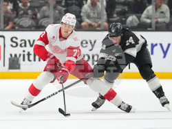Red Wings Kings Hockey