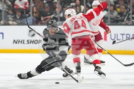 Red Wings Kings Hockey