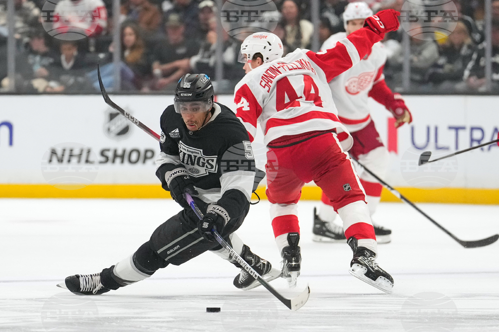 Red Wings Kings Hockey