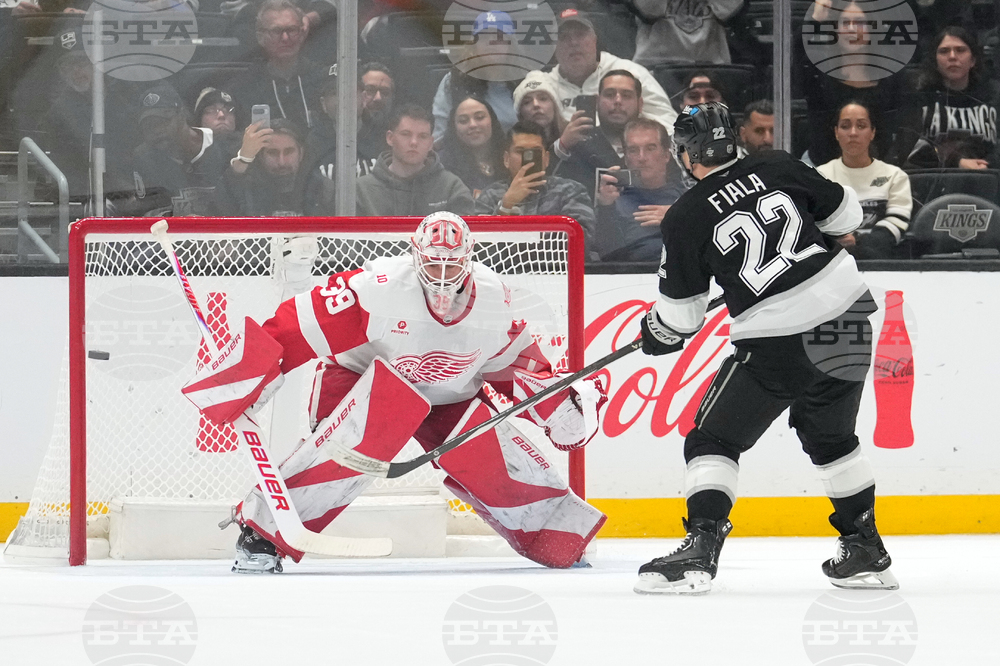 Red Wings Kings Hockey