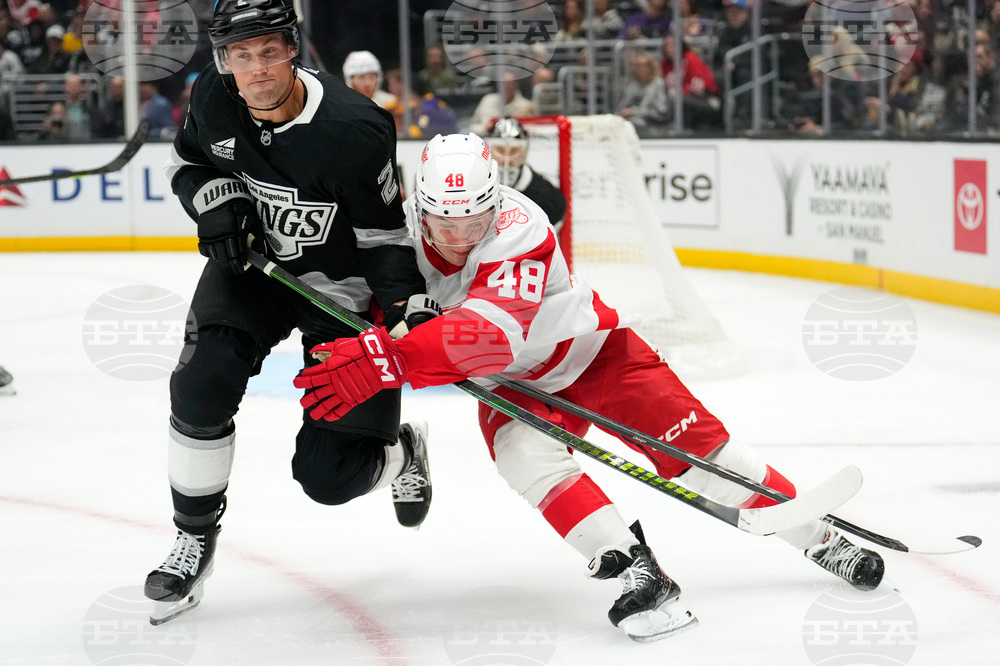 Red Wings Kings Hockey