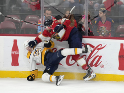 Predators Panthers Hockey