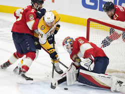 Predators Panthers Hockey