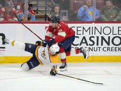 Predators Panthers Hockey