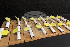 Казанлък - Краеведски четения