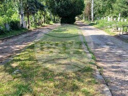 Снимка: Община Шумен 