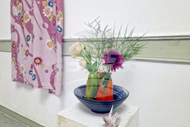 Хасково - Дни на японската култура