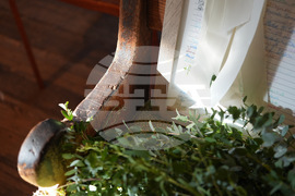 Quakers-Youthful Appeal