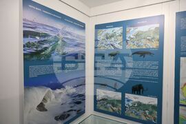 Бургас - Международен ден на Черно море - изложба