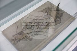 Бургас - Международен ден на Черно море - изложба