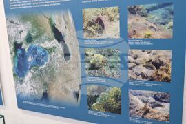 Бургас - Международен ден на Черно море - изложба