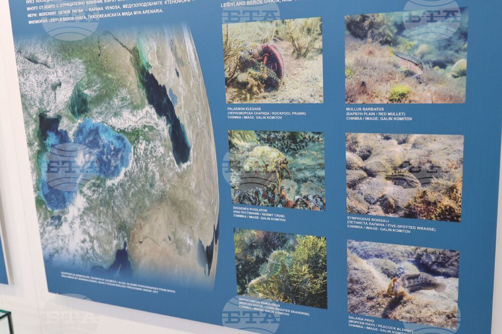 Бургас - Международен ден на Черно море - изложба