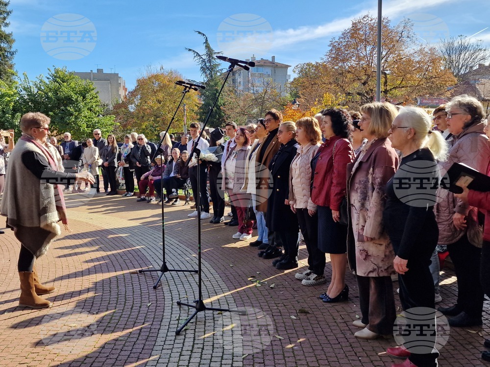 Свищов - честване на Деня на народните будители