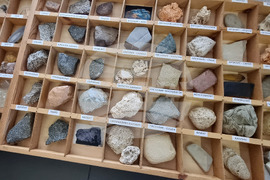 Варна - Институт по океанология - отворени врати