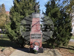 Украйна - Паметник на Иван Колев - цветя