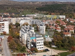 Снимка: Българско дружество за защита на птиците