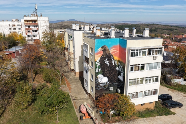 Българско дружество за защита на птиците: Мащабен графит на царски орел краси входа на Тополовград