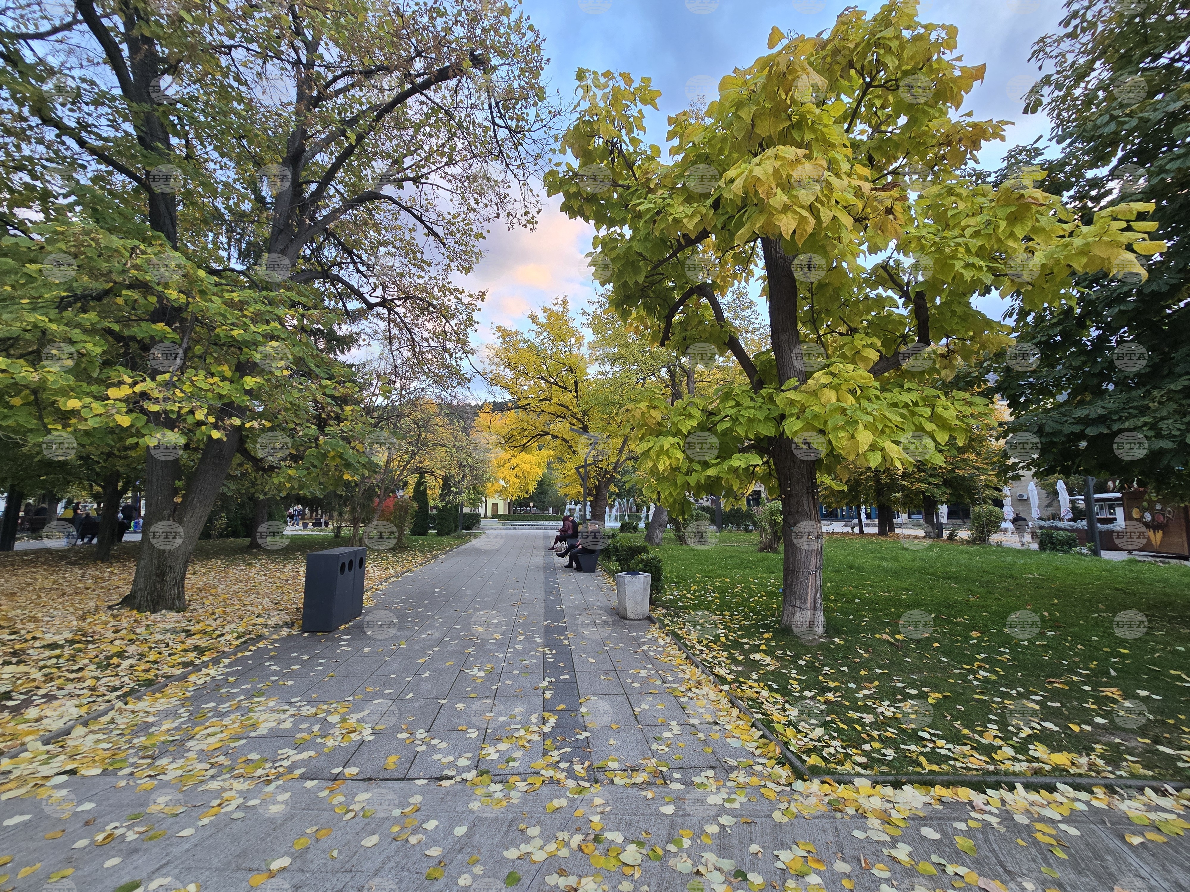 Прогноза за времето