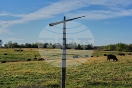 Climate Black Vultures Livestock