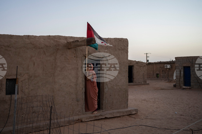 United Nations-Western Sahara