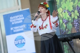 Украйна - Село Василевка - празник