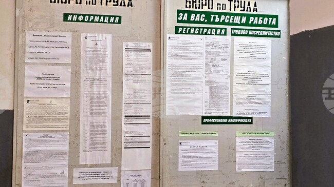 Пет позиции за висшисти са обявени от Бюрото по труда – Сливен