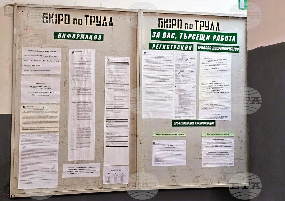 Пет позиции за висшисти са обявени от Бюрото по труда – Сливен