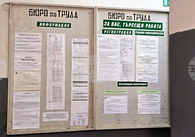 Пет позиции за висшисти са обявени от Бюрото по труда – Сливен