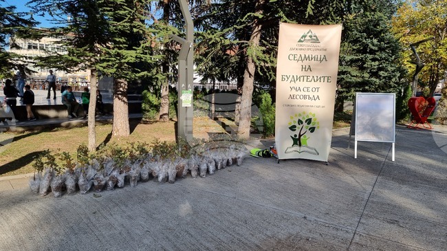 „Седмицата на будителите“ завърши с горски многобой с участието на шестокласници от Враца