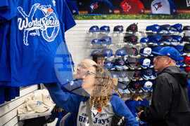 World Series Dodgers Blue Jays Baseball